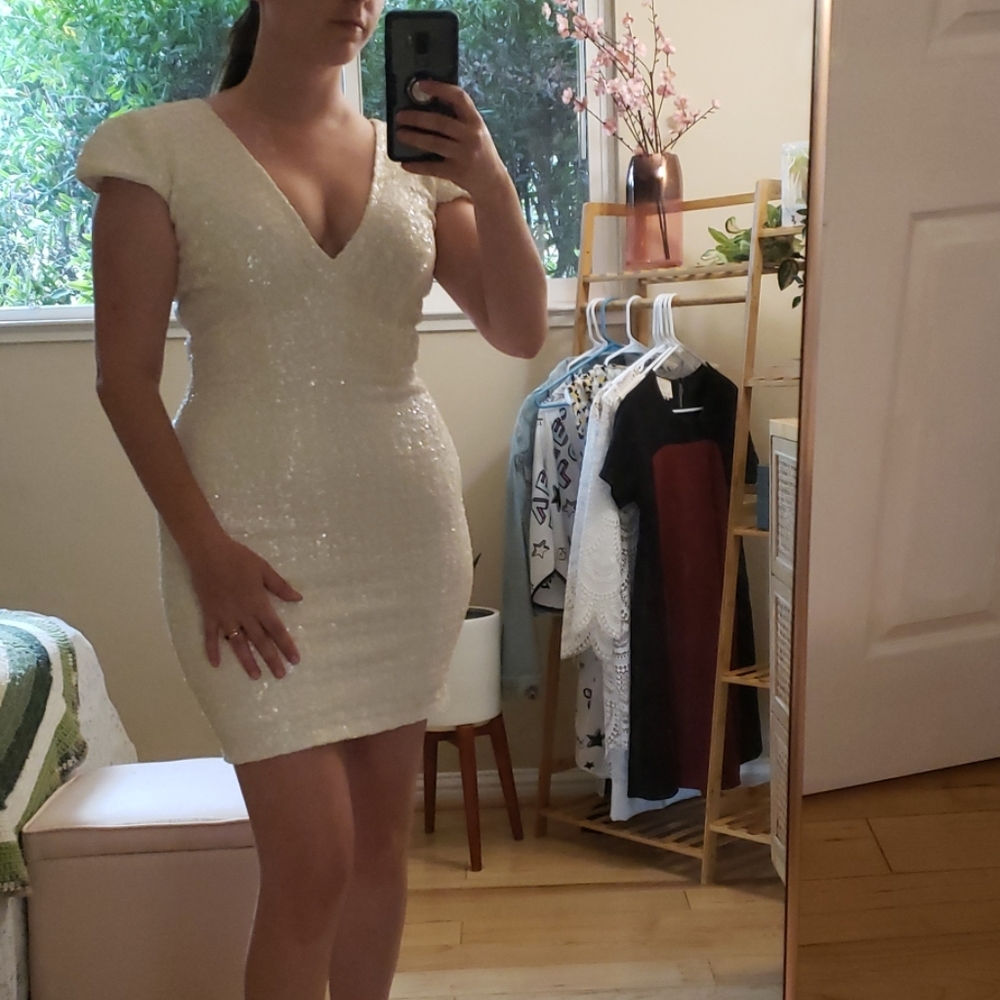 Dress the Population Zoe dress